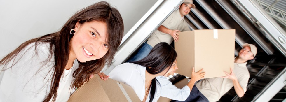 Professional Removalists Argyll